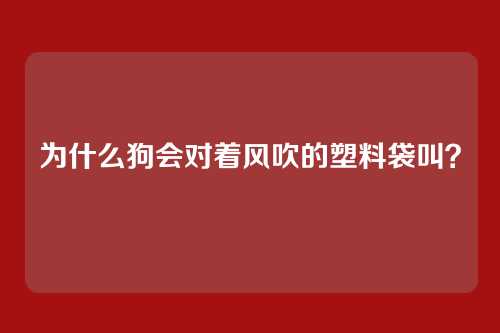 为什么狗会对着风吹的塑料袋叫？