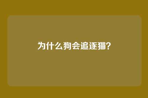 为什么狗会追逐猫？