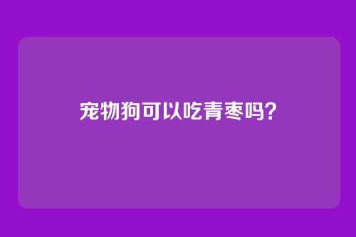 宠物狗可以吃青枣吗？