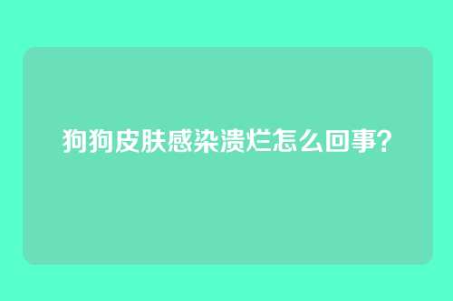 狗狗皮肤感染溃烂怎么回事？