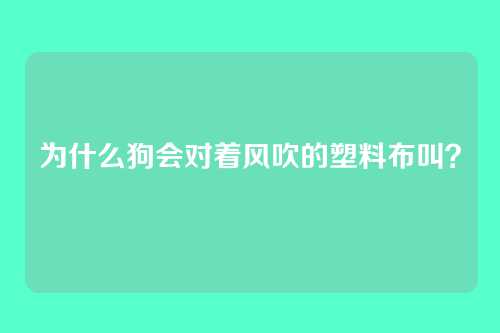 为什么狗会对着风吹的塑料布叫？