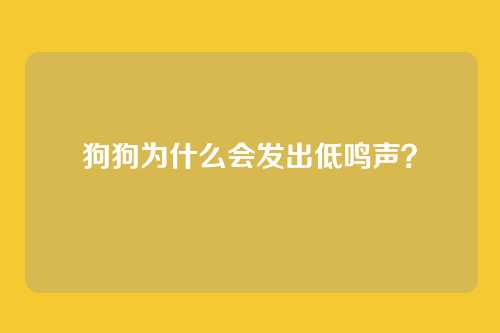 狗狗为什么会发出低鸣声？