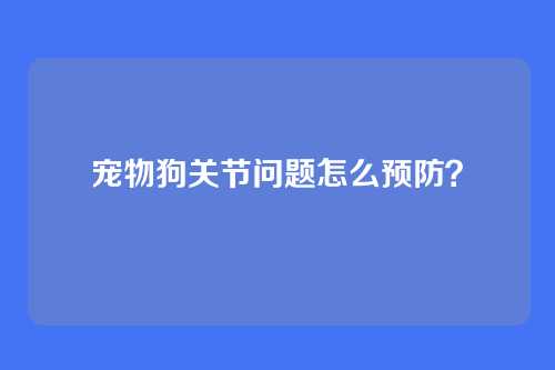 宠物狗关节问题怎么预防？