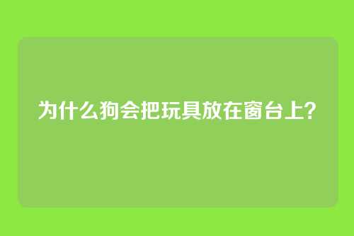 为什么狗会把玩具放在窗台上？