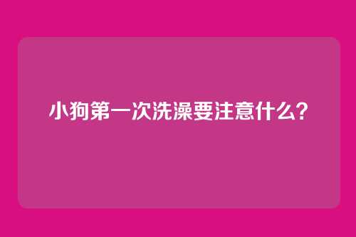 小狗第一次洗澡要注意什么？