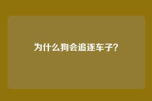为什么狗会追逐车子？