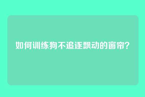 如何训练狗不追逐飘动的窗帘？