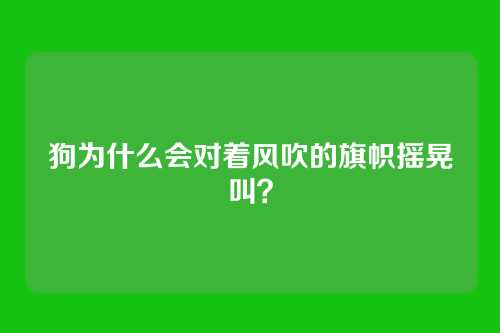 狗为什么会对着风吹的旗帜摇晃叫？
