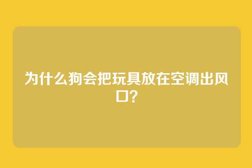为什么狗会把玩具放在空调出风口？