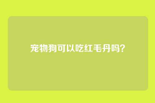 宠物狗可以吃红毛丹吗？