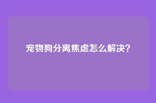 宠物狗分离焦虑怎么解决？