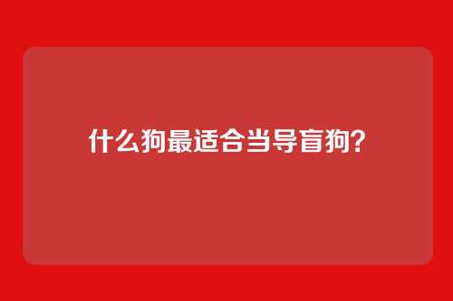 什么狗最适合当导盲狗？
