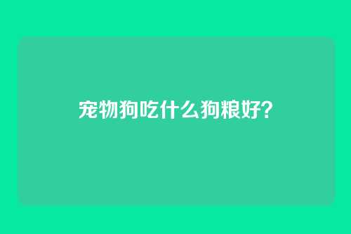宠物狗吃什么狗粮好？