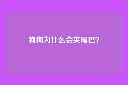 狗狗为什么会夹尾巴？