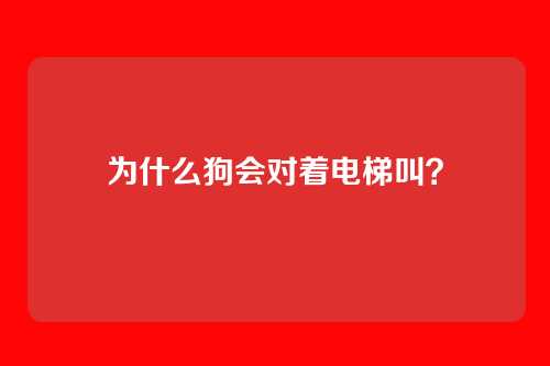 为什么狗会对着电梯叫？