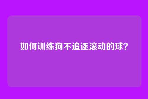 如何训练狗不追逐滚动的球？