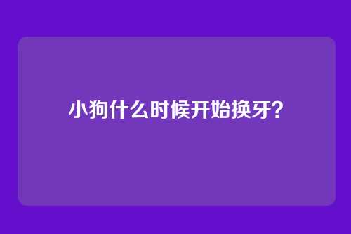 小狗什么时候开始换牙？
