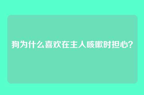 狗为什么喜欢在主人咳嗽时担心？