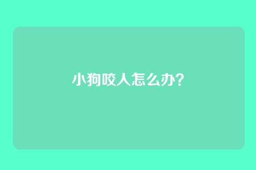 小狗咬人怎么办？