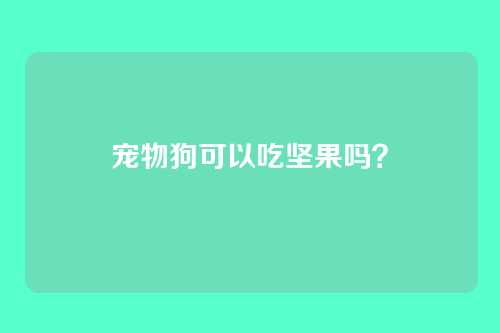 宠物狗可以吃坚果吗？