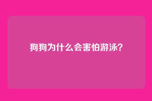 狗狗为什么会害怕游泳？