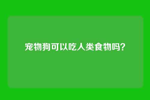 宠物狗可以吃人类食物吗？