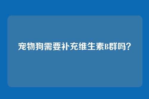 宠物狗需要补充维生素B群吗？