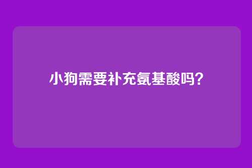 小狗需要补充氨基酸吗？