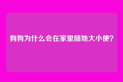 狗狗为什么会在家里随地大小便？