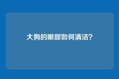 大狗的眼部如何清洁？