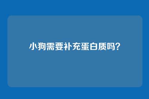小狗需要补充蛋白质吗？