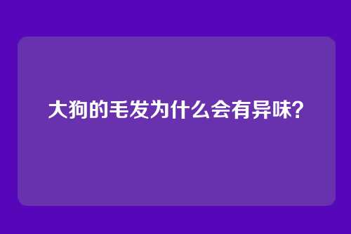 大狗的毛发为什么会有异味？