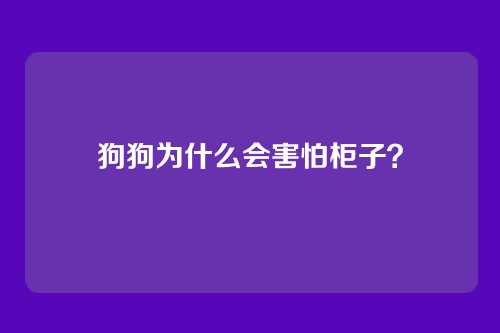 狗狗为什么会害怕柜子？