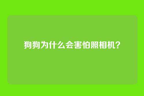 狗狗为什么会害怕照相机？