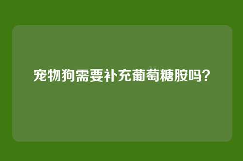 宠物狗需要补充葡萄糖胺吗？