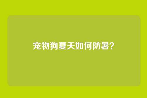 宠物狗夏天如何防暑？