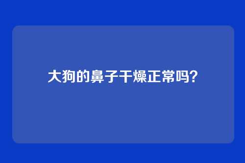 大狗的鼻子干燥正常吗？