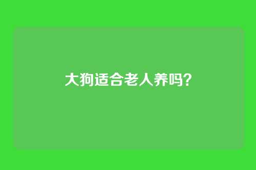 大狗适合老人养吗？