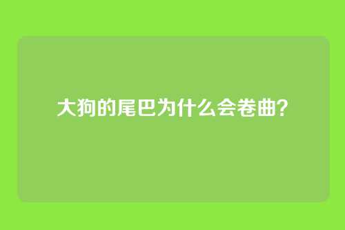 大狗的尾巴为什么会卷曲？