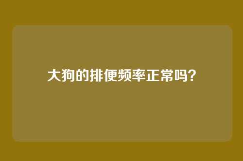大狗的排便频率正常吗？