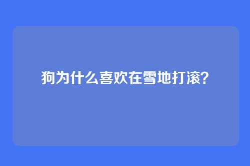 狗为什么喜欢在雪地打滚？