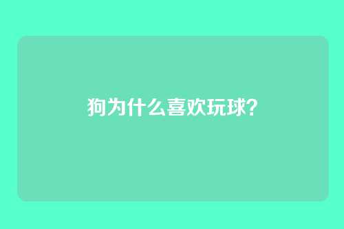 狗为什么喜欢玩球？