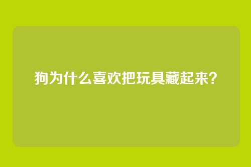 狗为什么喜欢把玩具藏起来？