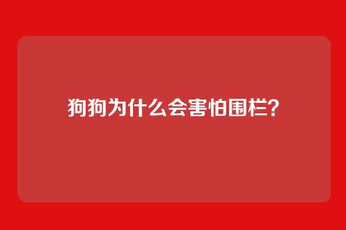狗狗为什么会害怕围栏？