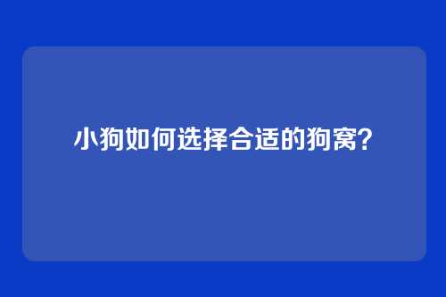 小狗如何选择合适的狗窝？