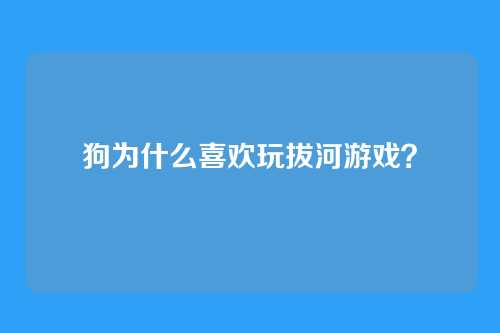 狗为什么喜欢玩拔河游戏？