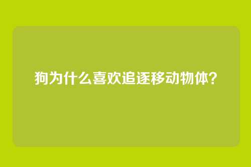 狗为什么喜欢追逐移动物体？