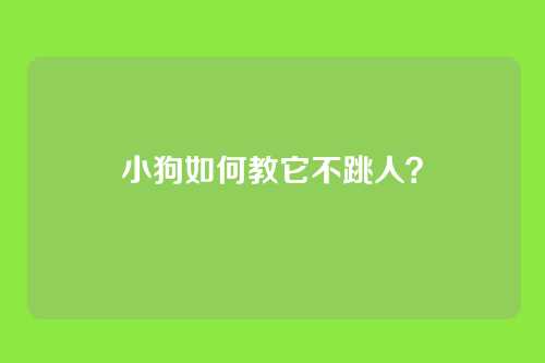 小狗如何教它不跳人？