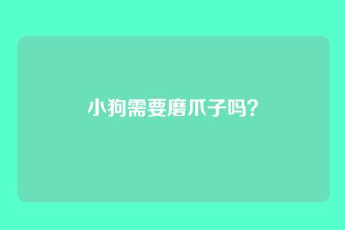 小狗需要磨爪子吗？