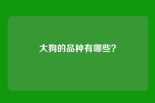 大狗的品种有哪些？